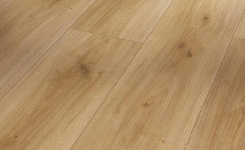 Ламинат Parador Basic Plus 600 XS 1593845 Дуб Горизонт фото 1 | FLOORDEALER